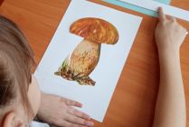 Занятие для педагогов